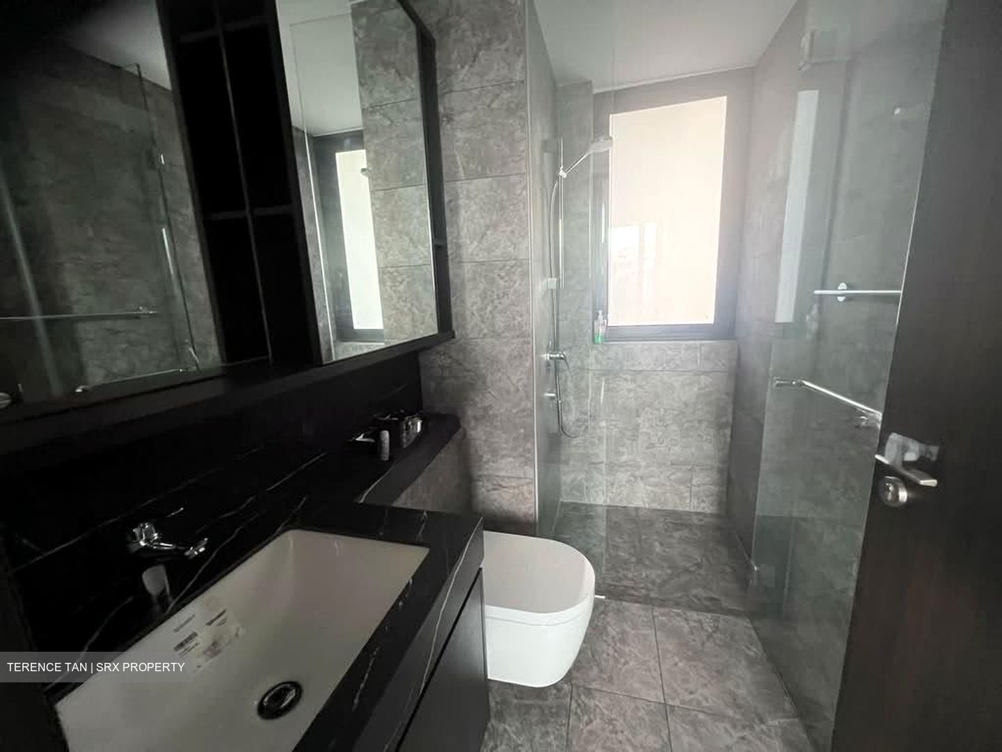 Hyll On Holland (D10), Condominium #560333831